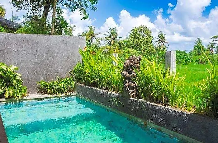 Davina Ubud Villa *