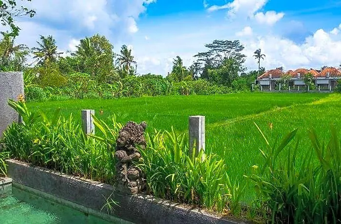 别墅 Davina Ubud Pagetan