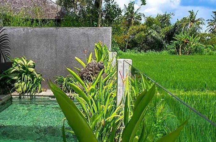 Villa Davina Ubud *